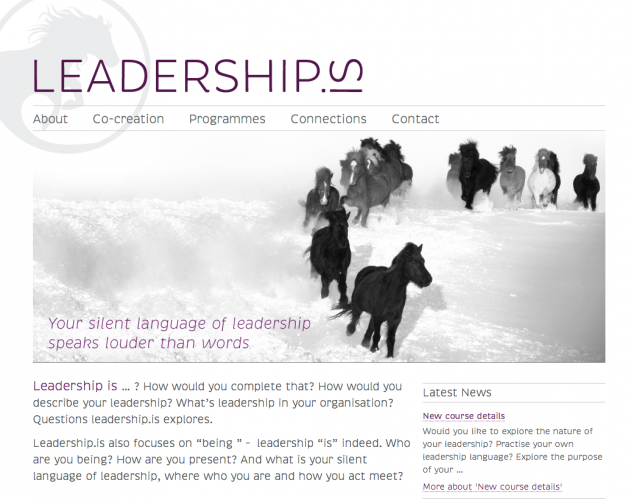 Leadership.is website
