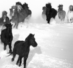 Leadership.is website